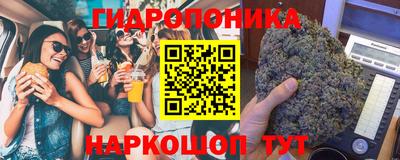 прущие грибы Ипатово
