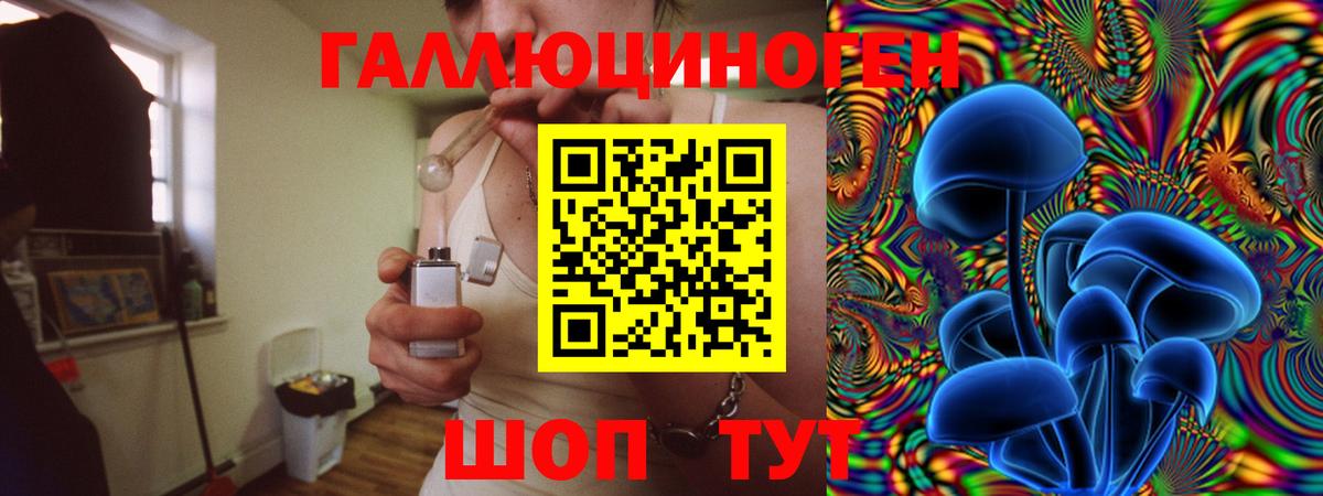 Галлюциногенные грибы Psilocybe  Псилоцибиновые грибы прущие грибы  Армавир  Вход с VPN 